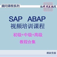 頂尖資料-SAP系統影片 教學影片 ABAP開發模塊 視頻教學教程 從入門到精通 SAP ABAP課程教學