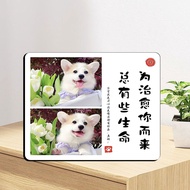 Pet Companion Commemorative Frame Photo Frame Swing Table Rinse Photo Dog Cat Photo Frame Cute Pet C