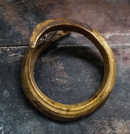 Koleksi Barang Unik Taring Babi Melingkar Mati Ngurak Replika Bahan Resin