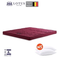 LOTUS ที่นอนยางพารา 100% เปลี่ยนที่นอนแข็งให้นุ่มขึ้น ยางพารานำเข้าจาก Belgium ส่งฟรี