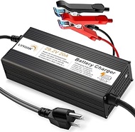 LVYUAN 29.2V 20A LiFePO4 Battery Charger, Automatic Smart Battery Charger and Desulfator Maintenance