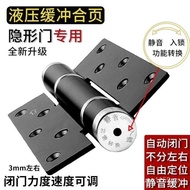 Close Door Hinge Rebound Cushioning Livable Invisible Spring Close Door Automatic Door Hydraulic Fla