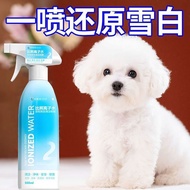 Dog Dedicated Ionized Bichon Bichon Remove Yellow Face Black Chin Water-Free Dry Cleaning Bichon Rem