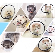 Pet collar number 3