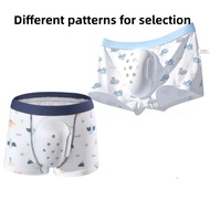 Boys Circumcision Boxer Underwear