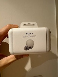 Sony WF-1000XM5