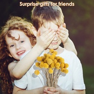 48 Pcs Dried Flowers Dried BillyBalls Dried Craspedia Flowers Button Yellow Dried Flowers Fake Silk