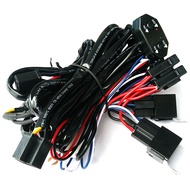 led Far and Near Light Group Strong and Weak Light Lamp Controller Biswitch Control Wiring Harness Spotlight Fog Lamp Connecting Line Remote Control