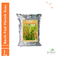Benih Padi Mentik Susu Wangi Jumbo 1 Kg