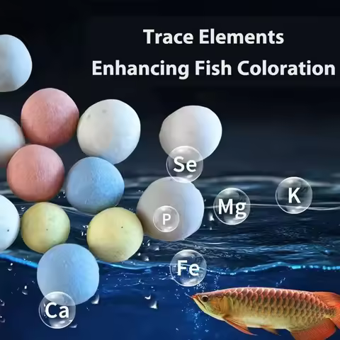 Aquarium Bio Filter Media Water Purifier Bio Balls Aquarium Decorations 100g 200g 300g