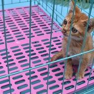 unitea Non Slip Cushion Platform for Pet Dog Cat Cage