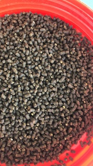 BIRD FOOD Provide nutrition bird