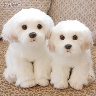 cod Maltese Stuffed Dog Dolls Plush Toy Cute Simulation Pets Fluffy Baby Birthday Gifts Christmas Ch