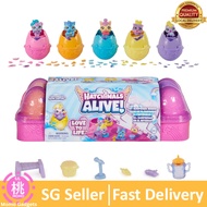 Hatchimals Alive, Egg Carton Toy with 5 Mini Figures in Self-Hatching Eggs, 11 Accessories/10 Access