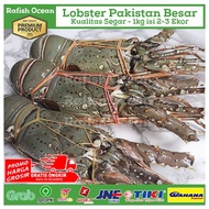 Lobster Besar Segar 1kg isi 2-3 Ekor/Lobster Pakistan/Lobster Laut