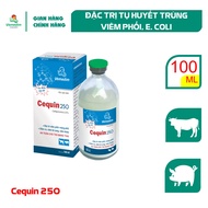 Vemedim Cequin 250 Thuốc phòng trị tụ huyết trùng viêm phổi cho gia súc và chó mèo chai 100ml