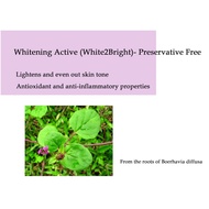 Whitening Active (White2Bright)- Preservative Free