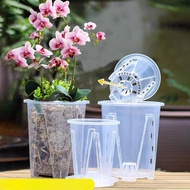 12cm For Orchid Plant Grow Pot Transparent White Thickened Flowerpot Breathable Root Control Plant P