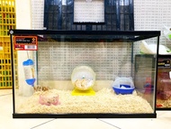 Paket Kandang Hamster Rumah Hamster Besar Hamster Syrian Winter White