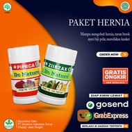 Obat Hernia Turun Berok Paling Ampuh Obat Turun Berok Anak Dewasa Kelenjar Getah Bening Herbal  Pros