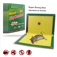 TIKUS PAPAN PELEKAT / GAM PERANGKAP TIKUS