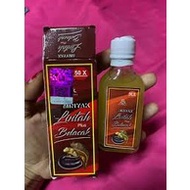 minyak lintah plus belacak asli original