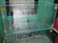 Aquarium kaca ukuran 100x50x50cm