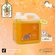 แชมพู Bubble Bear สูตร Premium Cat 🐈 ออร์แกนิก 100% ขนาดแกลลอน 3.5 ลิตร