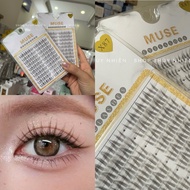 Muse X87 eyelashes - Separate eyelashes attached to each cluster