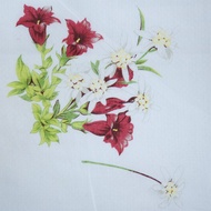 Rfu 150ET Silkscreen Printing Waterbase Inks 5KG