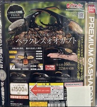 全新日本獨角仙 甲蟲扭蛋 長175mm 扭蛋其中二款