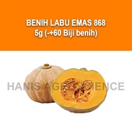 Benih Labu Emas 868 5g (+-60 biji) - Labu Manis Mudah Hidup Dan Besar