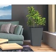 FELTON SQUARE FLOWER POT 2511 (s size) COLOR SELECTION PLASTIC FLOWER POT FOR INDOOR OUTDOOR USE PAS