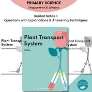 Primary 5/6 Science Guided Notes & Questions: Plant Transport Systems  | More than an Assessment Boo