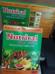 Pupuk NUTRICAL Super Calsium Mengandung 99% Kalsium