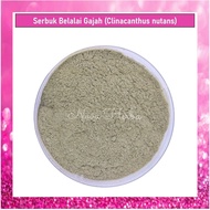 Elephant Trunk Powder (Clinacanthus nuts) (10g/ 50g) Sabah Snake Grass, Gendis