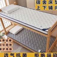 Mattress Single Pig Iron Lower Bunk Thickened Student Dormitory University Mattress Mattress Wholesa