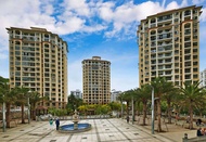 Coconut Maple Home Apartment