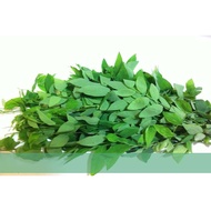 Malabar spinach seeds