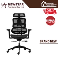 Newstar Luxe Ergonomic Office Chair / Black Roller Chair