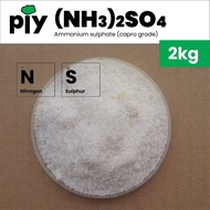 [2kg] AS Ammonium sulfat 21-0-0 (Gred Capro) / Ammonium sulphate (Capro Grade) / 硫酸铵(Capro级)