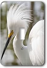3dRose lsp_143712_1 Snowy Egret Bird, Everglades, Florida, Usa Us10 Mde0024 Michael Defreitas Single