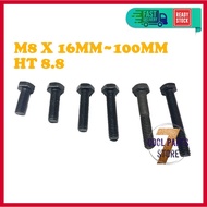 M8 Hex Bolt Skru M8 X 16MM~100MM High Tensile Bolt Hex Nut Washer Hexagon Screw - HT 8.8