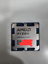 R3 8300G