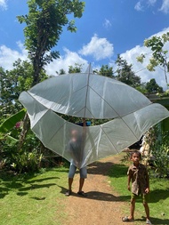 layangan papiran 1 meter 80 cm siap terbang siap untuk lomba