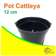 Pot Cattleya Gantung Bulat 12 cm kawat dendrobium anggrek plastik