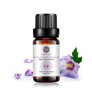 White Musk Essential Oil 100% Pure Grade Aroma Oil for Diffuser, Soaps, Candles, Massage, Perfume - 