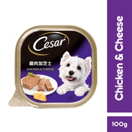 CESAR Dog Food Adult Chicken &amp; Cheese Dog Wet Food 100g