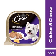 Cesar Chicken & Cheese Wet Dog Food (100g)