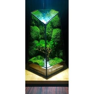 Terrarium moss vase